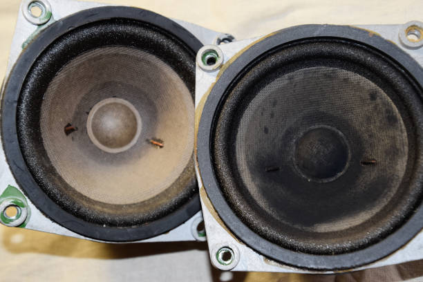Medium frequency speakers 20gds-3. Soviet vintage acoustics, elements of a music column.