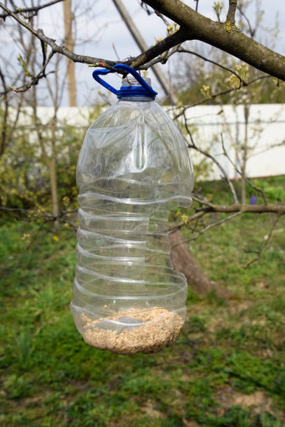 istock bird feeder in the garden. A plastic bottle feeder. 1216627950