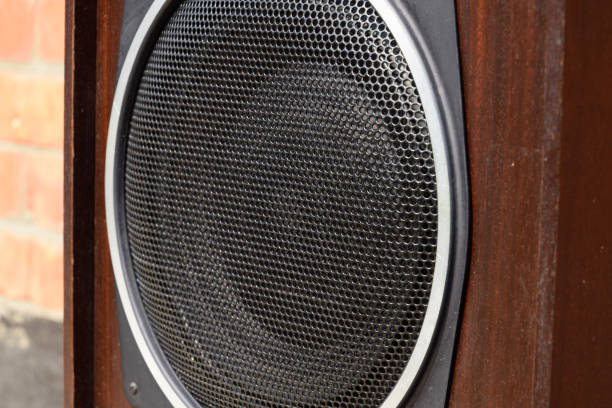 istock Low frequency speaker of vintage Soviet acoustics. Dynamics 30gd-2 1216628259
