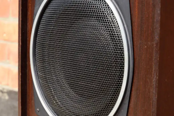 Low-frequency speaker of vintage Soviet acoustics. Dynamics 30gd-2