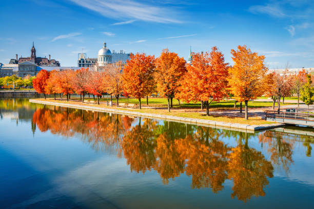 Montreal beautifull colored red autumn trees reflecting in the pond water. Parc Jean-Drapeau  Montreal, Montreal, Quebec, Canada - Bassin Bonsecours, Prom Du Vieux-Port, Old Montreal, Quebec, Canada