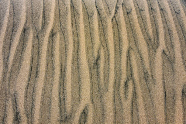 istock Landscapes and sand dunes in the Nazca desert. Ica, Peru. 1216631598