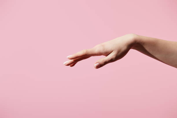 istock Cropped view of female hand isolated on pink 1216636467