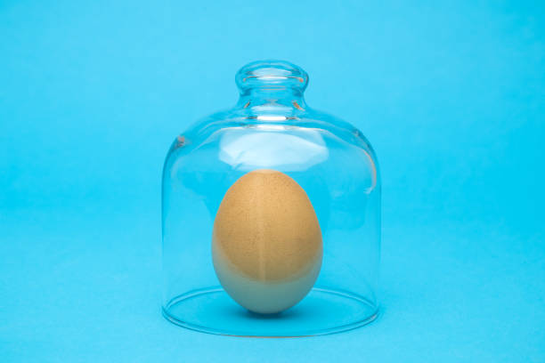 istock Egg under glass cover isolation easter stay at home concept. 1216640024