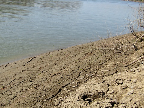 Sludge coast after water levels drop in Banat in early spring