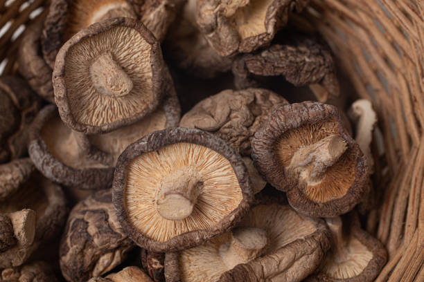 istock Dried Mushroom in a Basket 1216649603