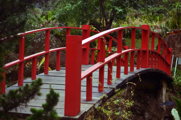 istock traditional red bridge over pond in garden 1216650777