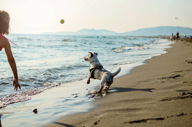 Girls day with Him on beach