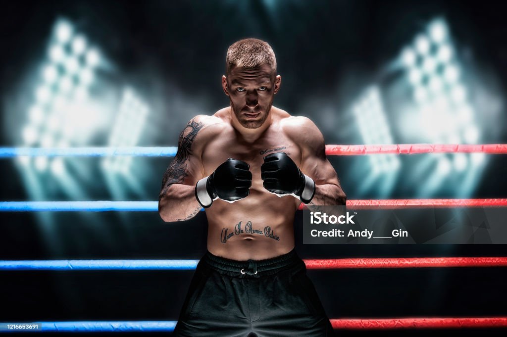 Mixed martial artist posing in the ring against spotlights. Concept of mma, ufc, thai boxing, classic boxing. Mixed martial artist posing in the ring against spotlights. Concept of mma, ufc, thai boxing, classic boxing. Mixed media Mixed Martial Arts Stock Photo