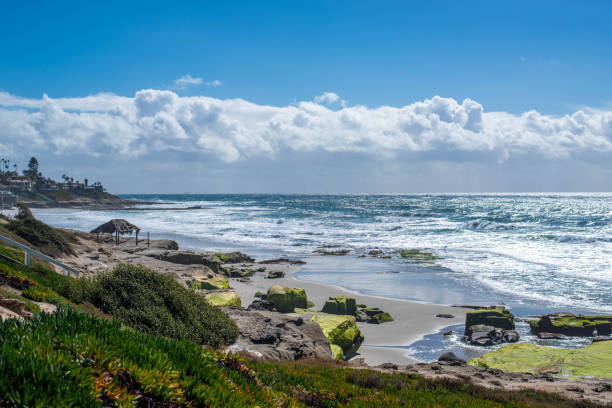 istock La Jolla beach at San Diego. 1216657589