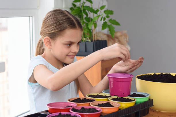 istock Girl is planting seeds in cooked pots 1216658325
