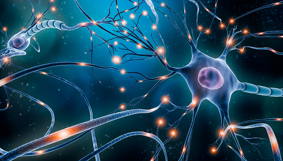 Neuronal network with electrical activity of neuron cells 3D rendering illustration. Neuroscience, neurology, nervous system and impulse, brain activity, microbiology concepts. Artist vision.