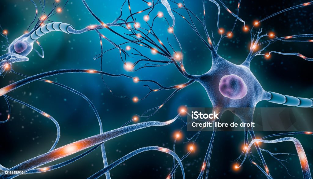 Neuronal network with electrical activity of neuron cells 3D rendering illustration. Neuroscience, neurology, nervous system and impulse, brain activity, microbiology concepts. Artist vision. Nerve Cell Stock Photo