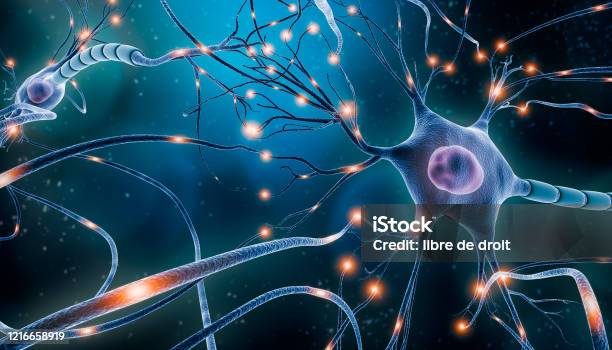 Neuronal Network With Electrical Activity Of Neuron Cells 3d Rendering Illustration Neuroscience Neurology Nervous System And Impulse Brain Activity Microbiology Concepts Artist Vision Stock Photo - Download Image Now