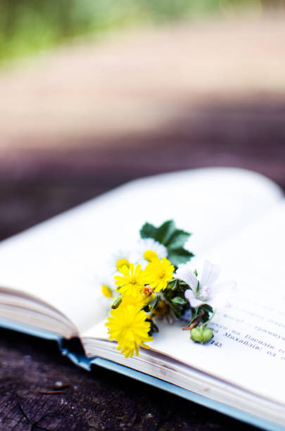 istock Open book and flowers for a good rest 1216659083