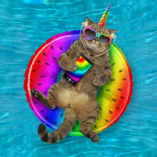 istock Caticorn listens to music in pool 1216659212