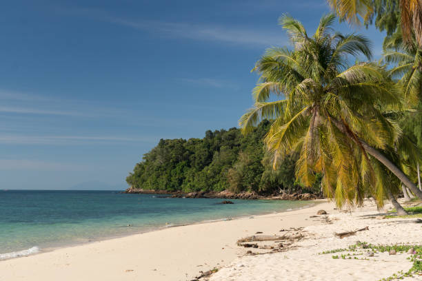 istock School Beach on Koh Bulone Lae 1216659823