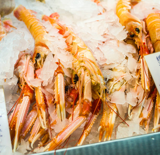 istock freshly caught and frozen prawns for you 1216659874