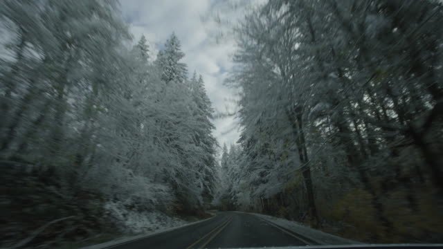 Mount Rainier Snowy Road Time Lapse