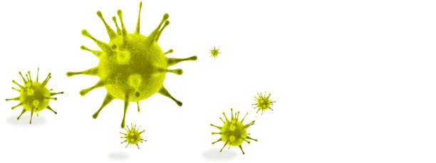 istock New coronavirus 2019-ncov. 3D illustration 1216663970