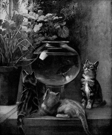 Curiosity (originally entitled The Fish Commissioners) by John Henry Dolph (circa 19th century). Vintage etching circa late 19th century.