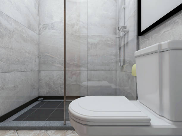 istock 3D rendering,Clean modern residential bathroom and toilet design, which is equipped with washstand, toilet and shower equipment, etc. 1216665931
