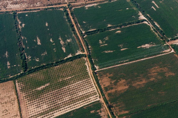 istock aerial view  agriculture field 1216666055