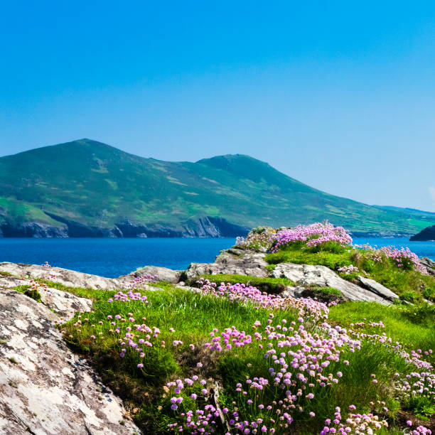 istock Valentia Island in County Kerry, Ireland 1216666272