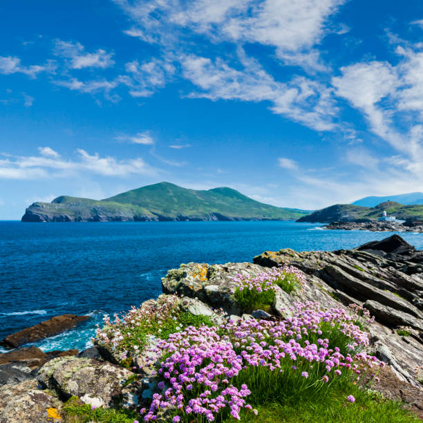 istock Valentia Island in County Kerry, Ireland 1216666276