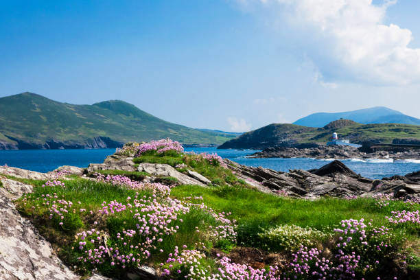istock Valentia Island in County Kerry, Ireland 1216666341