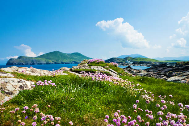 istock Valentia Island in County Kerry, Ireland 1216666361