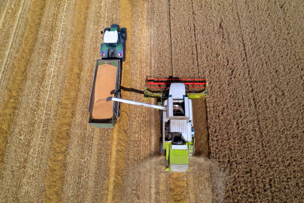 istock Combine pouring corn grain into tractor trailer, aerial view 1216667463