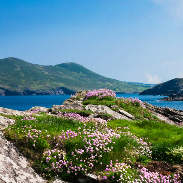 istock Valentia Island in County Kerry, Ireland 1216667672