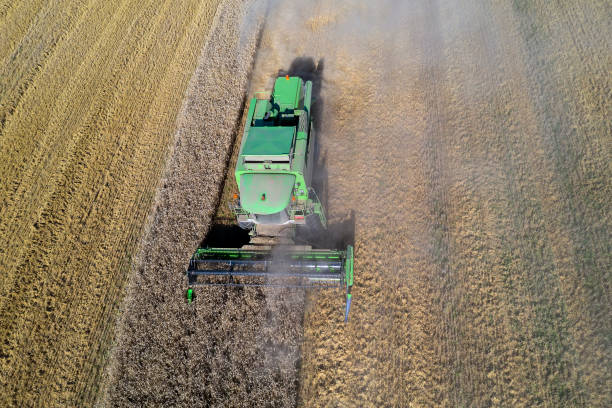 istock Harvester at work in crop field, aerial view 1216668559