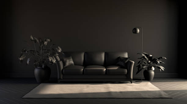istock Black empty wall in ducky dark room with sofa,plants and floor lamp on a carpet. Black background. 3D rendering 1216668562