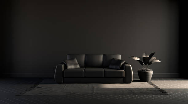 istock Dark room in flat black color with sofa and plant on a carpet. Black background. 3D rendering 1216668578