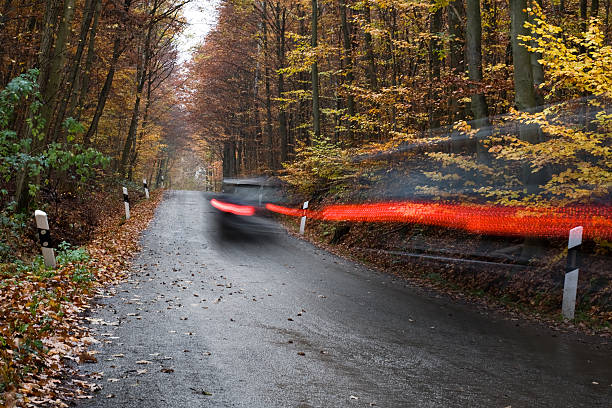 istock Car passes by on an autumnal forest road 121667178