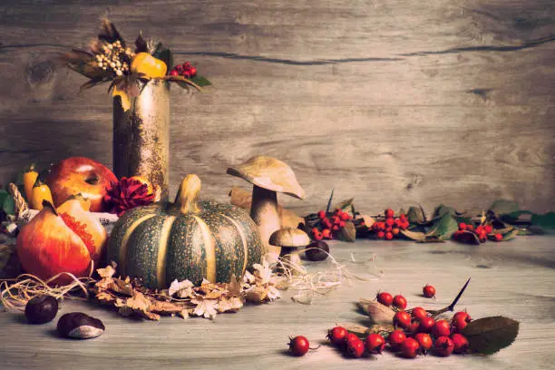 Autumn Thanksgiving arrangement with basket of onions, decorative pumpkins, Fall leaves, apples, peppers and garnet fruit. Autumn still life arrangement indoors on aged wooden table. Copy-space.