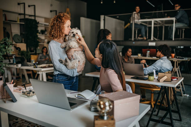 istock Bringing her pet to work every day 1216679289