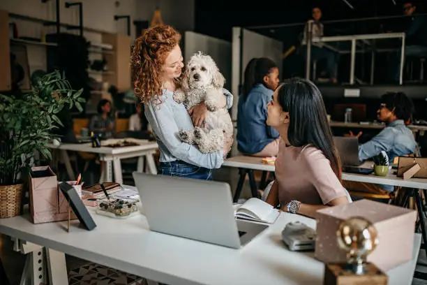 Photo of Bringing her pet to work every day