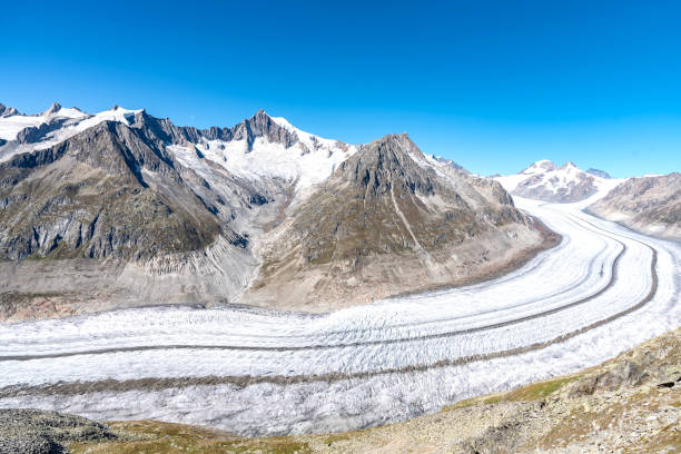 vista sobre el glaciar aletsch desde el monte eggishorn, suiza. es el glaciar más largo de los alpes. - aletsch glacier fotografías e imágenes de stock