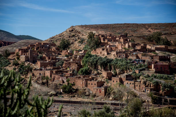 istock High angle perspective of sahara oasis town 1216681290