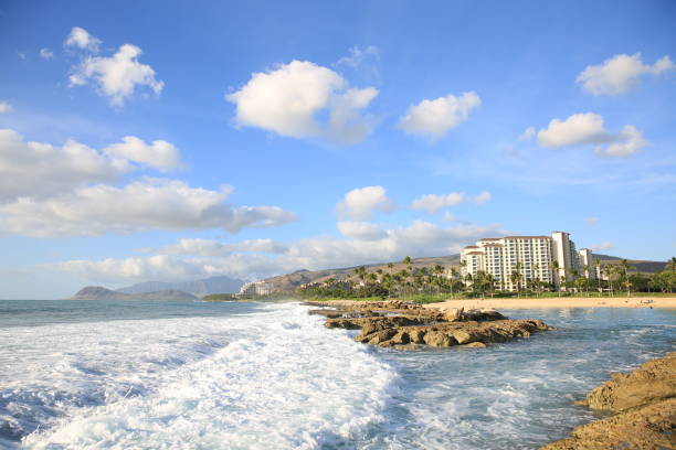 istock Ko Olina Oahu Hawaii coastline palm tree wave 1216684320