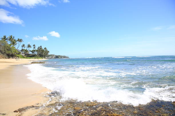 istock sand wave bech water sea ocean blue sky 1216684349