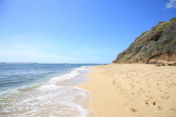 istock sand wave bech water sea ocean blue sky 1216684395