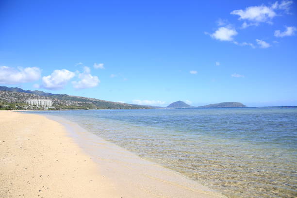 istock clear water beach park blue sky palm tree 1216684402