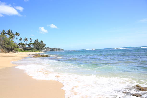 istock sand wave bech water sea ocean blue sky 1216684976