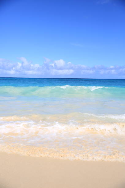 istock Waimanalo Beach Park Oahu Hawaii white sand 1216685036