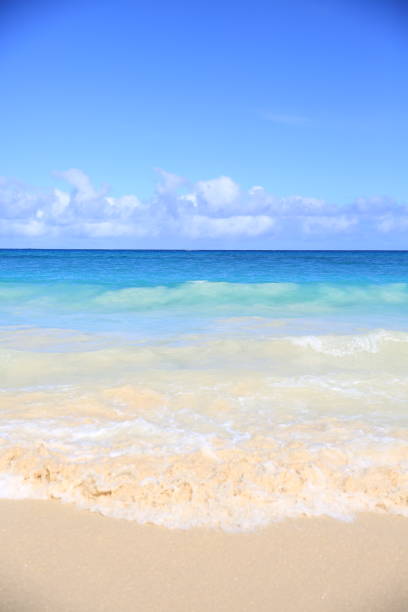 istock Waimanalo Beach Park Oahu Hawaii white sand 1216685039