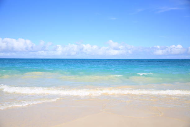 istock Waimanalo Beach Park Oahu Hawaii white sand 1216685090